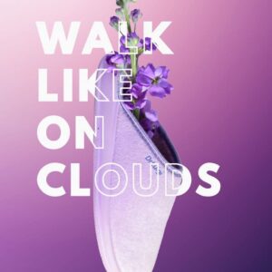 DR. LUIGI FROTIRNE PAPUČE