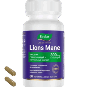 EVALAR LAVLJA GRIVA 300MG KAPSULE ZA POBOLJAŠANJE KONGITIVNIH SPOSOBNOSTI A60