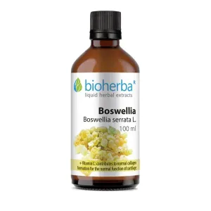 BIOHERBA TINKTURA BOSWELLIA 100ML