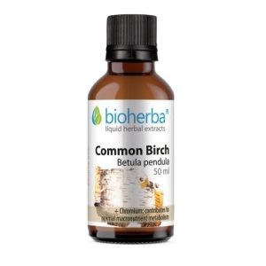 BIOHERBA TINKTURA BREZA 50ML