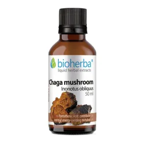 BIOHERBA TINKTURA CHAGA 50ML