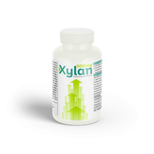 HA XYLAN MGN-3 ARABINOKSILAN 500MG KAPSULE ZA IMUNITET A60